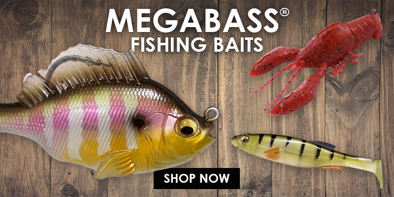 Megabass Fishing Baits